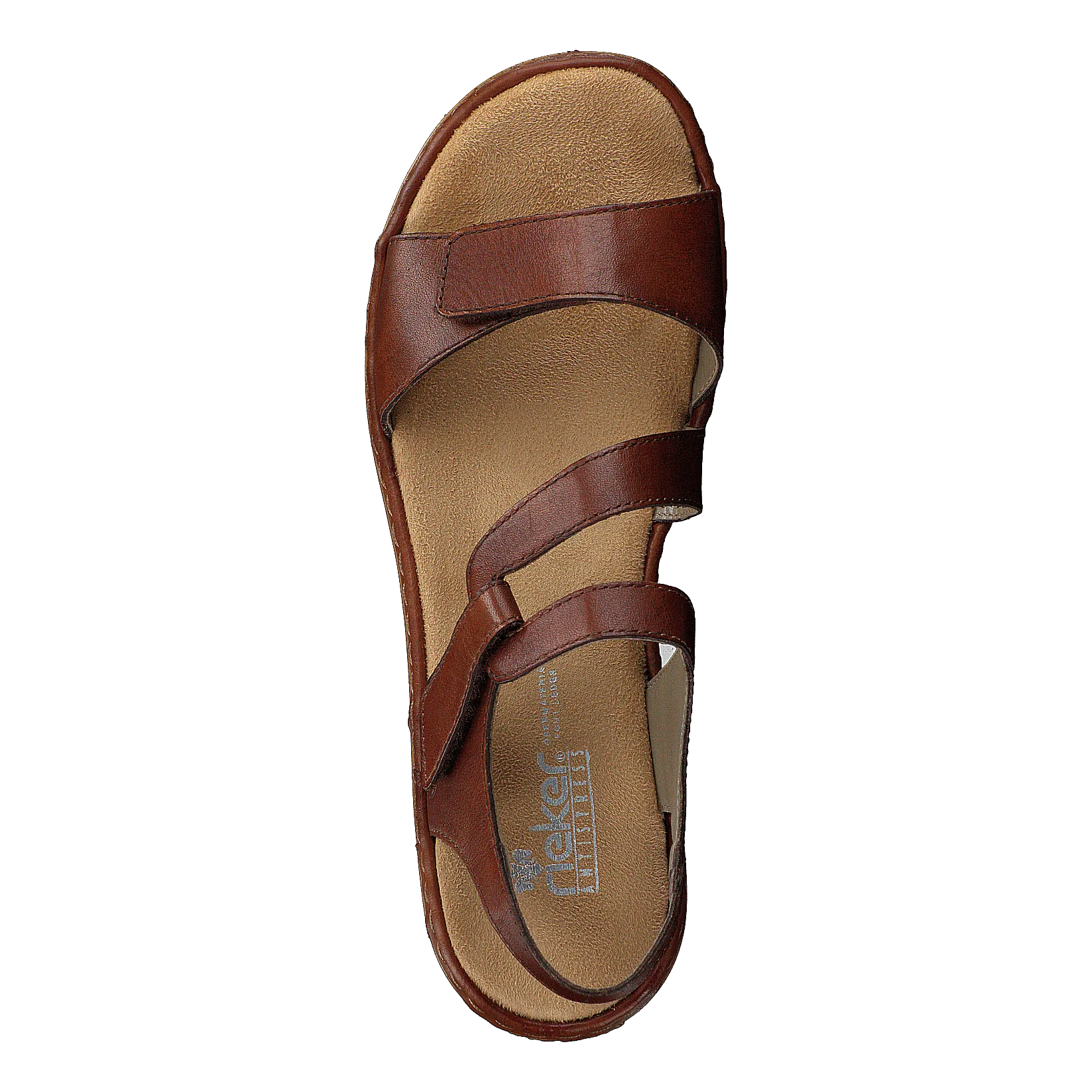 659c7-24 Brown