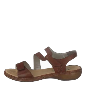 659c7-24 Brown