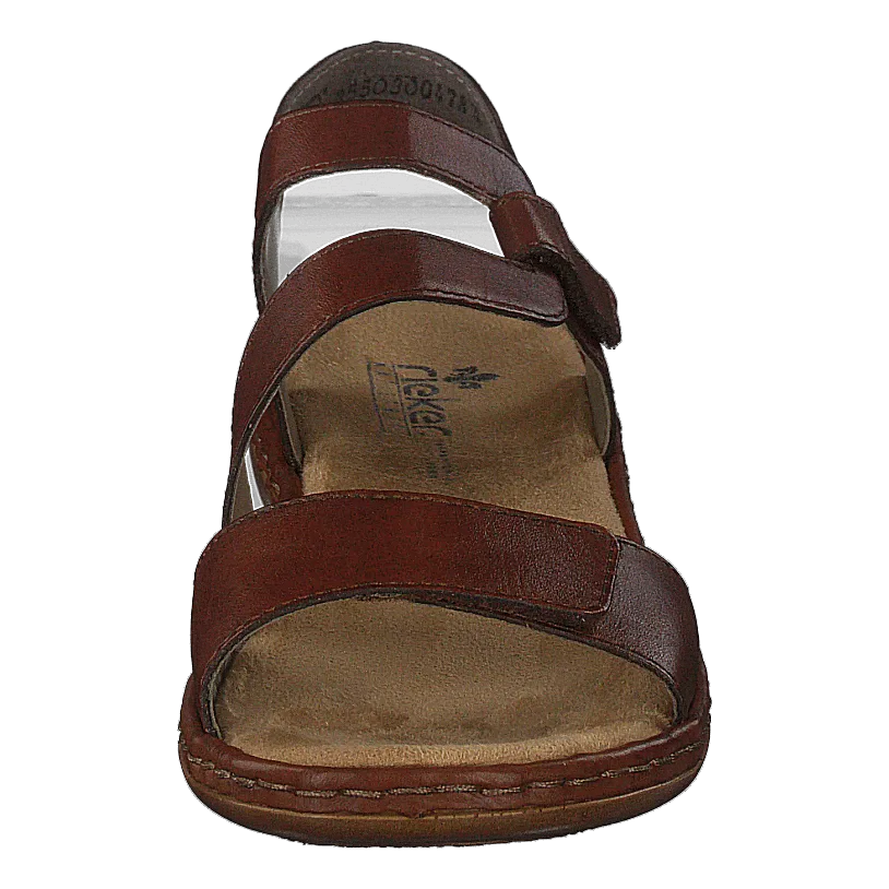 659c7-24 Brown