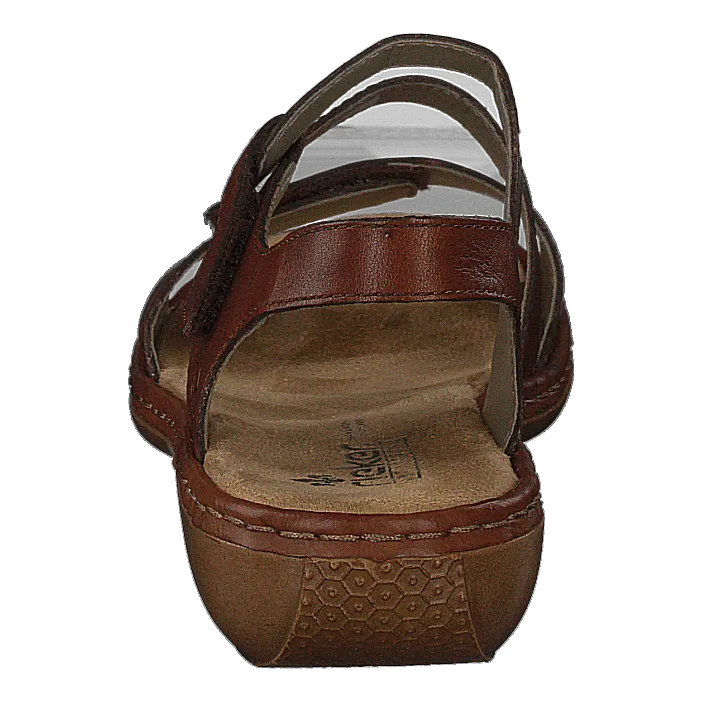 659c7-24 Brown