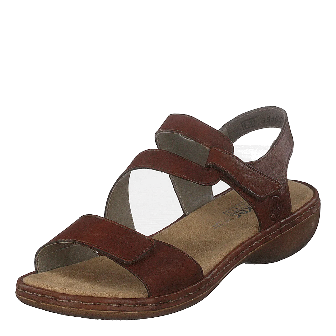 659c7-24 Brown